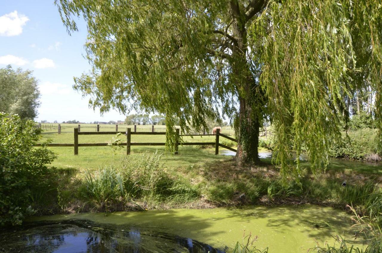 Vakantiewoning Wanderlust Alveringem Zewnętrze zdjęcie